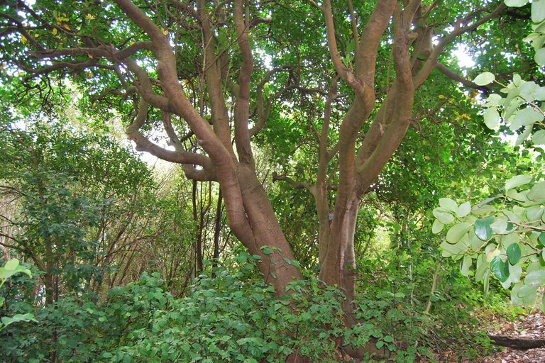 Photo of property in 119 Manu Drive, Kaiwaka, 0573