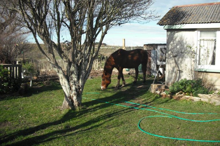 Photo of property in 41 Nuku Street, Tangimoana, 4822