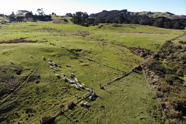 Photo of property in 132b Gatfield Road, Kaukapakapa, 0873