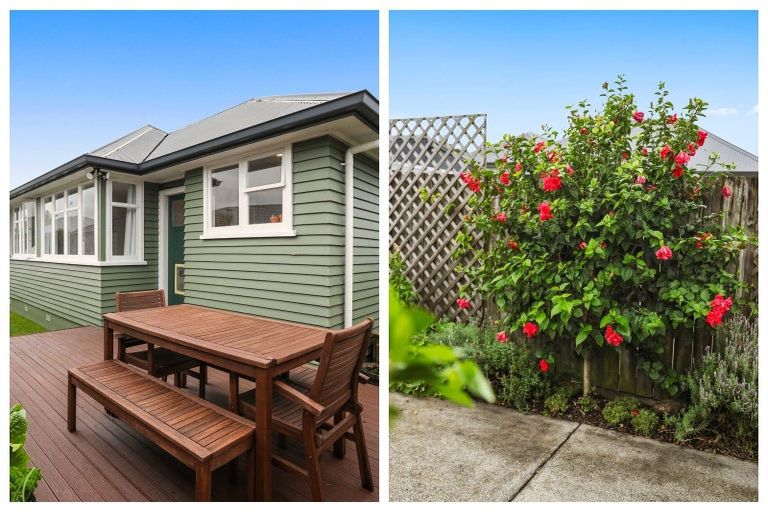 Photo of property in 75c Pooles Road, Greerton, Tauranga, 3112