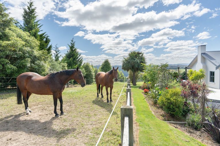 Photo of property in 138 Mckendry Road, Woodside, Outram, 9074