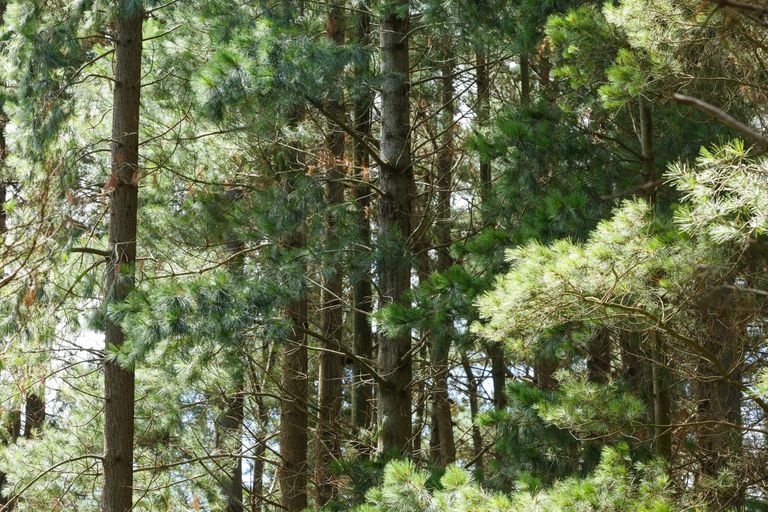 Photo of property in 57 Fitzherbert East Road, Aokautere, Palmerston North, 4471