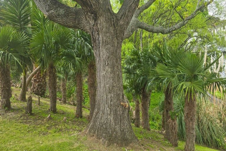 Photo of property in 112 Brunton Crescent, Thames, 3500