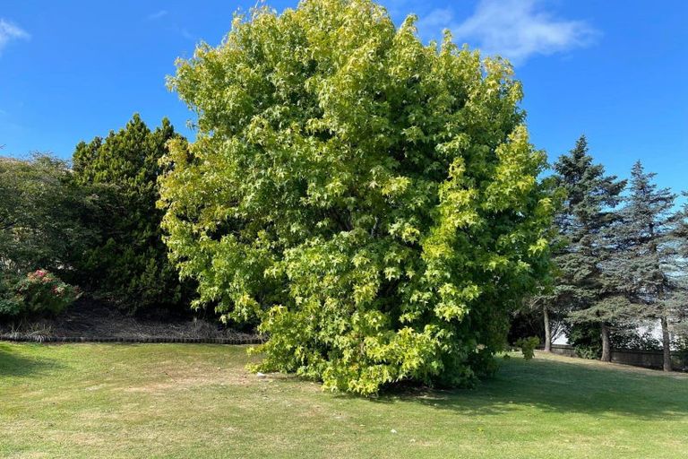 Photo of property in 84 Eden Street, Oamaru, 9400