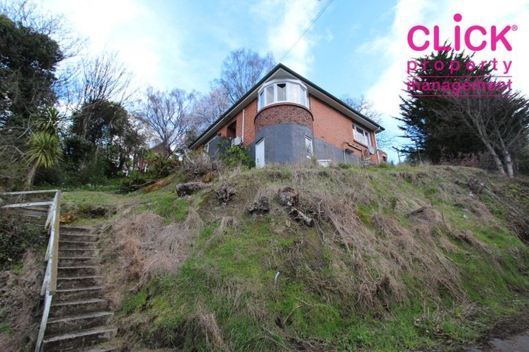 Photo of property in 125 Maclaggan Street, Dunedin Central, Dunedin, 9016