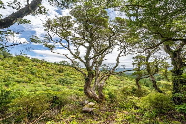 Photo of property in 70 Avro Road, Blue Mountains, Upper Hutt, 5371