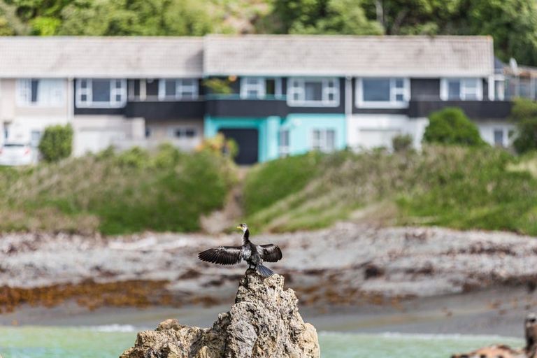 Photo of property in 2/418 Queens Drive, Lyall Bay, Wellington, 6022