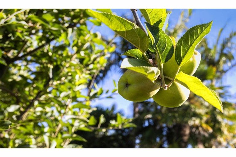 Photo of property in 108 Waitotara Drive, Waipapa, 0230