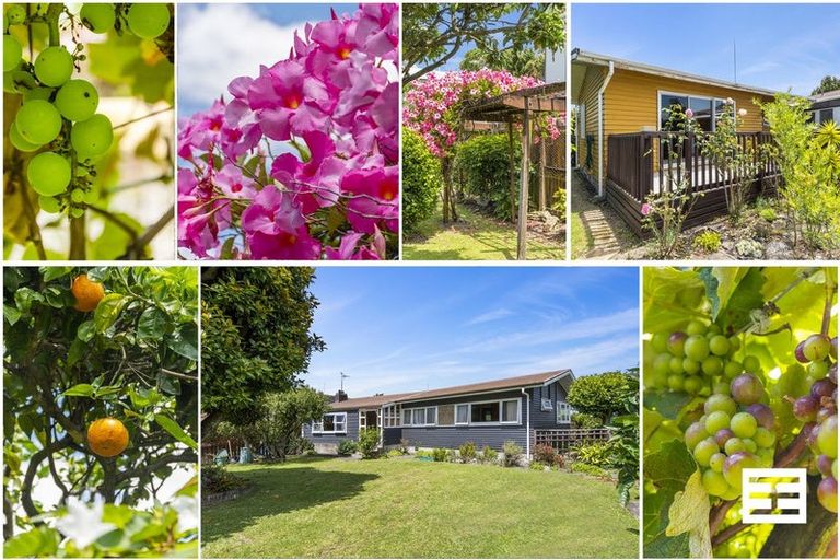 Photo of property in 68 Kings Avenue, Matua, Tauranga, 3110