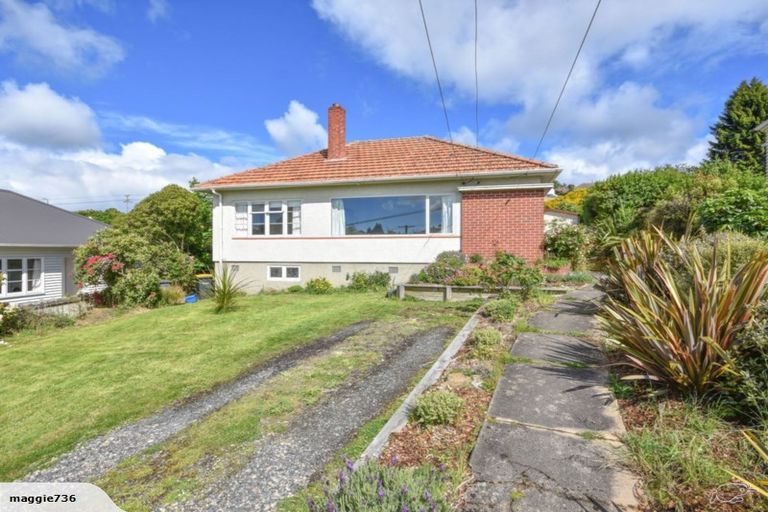 Photo of property in 115 Chapman Street, Wakari, Dunedin, 9010
