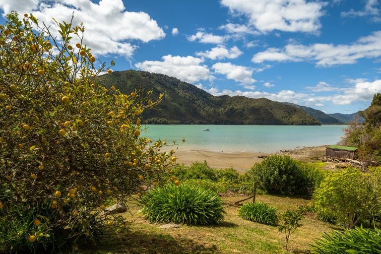 Photo of property in 685 Queen Charlotte Drive, Havelock, Picton, 7281