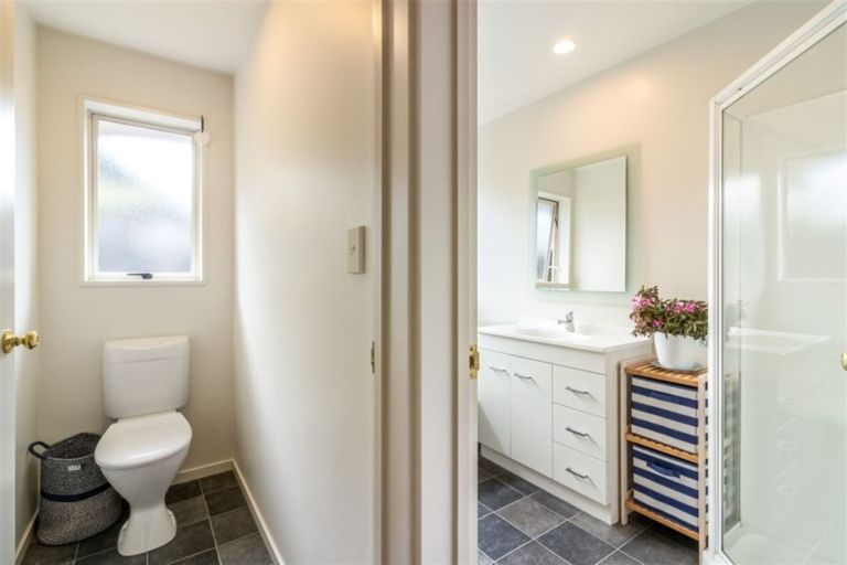 Photo of property in 3 Nina Lane, Somerfield, Christchurch, 8024