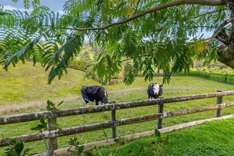 Photo of property in 259 Glenmohr Road, Waipu, 0582