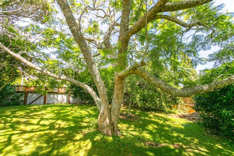 Photo of property in 68 Watt Street, Coromandel, 3506