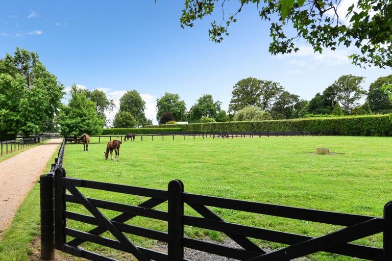 Photo of property in 427 Bruntwood Road, Tamahere, Cambridge, 3493