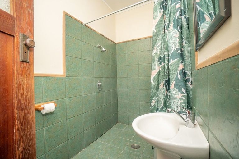 Photo of property in 21 Alfred Street, Roslyn, Palmerston North, 4414