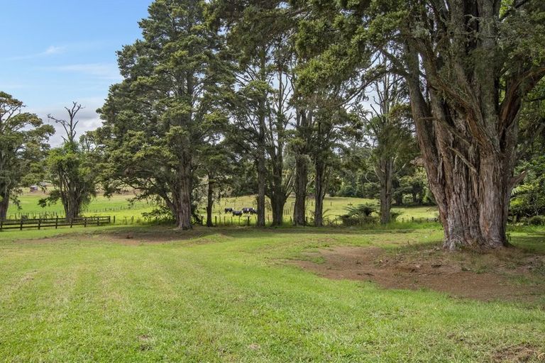 Photo of property in 59 Jounneaux Road, Te Kamo, Kamo, 0185