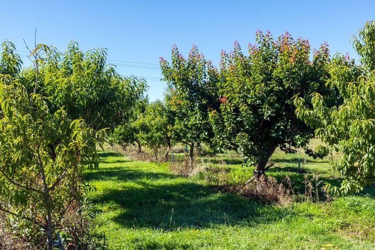 Photo of property in 7 Opuha Street East, Orari, Geraldine, 7992