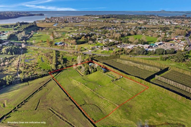 Photo of property in 115 State Highway 2, Katikati, 3170