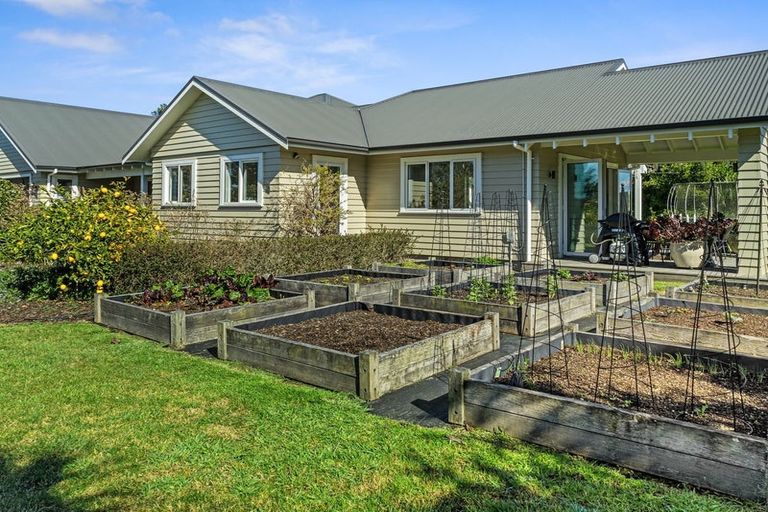 Photo of property in 51 Bradley Avenue, Pyes Pa, Tauranga, 3112