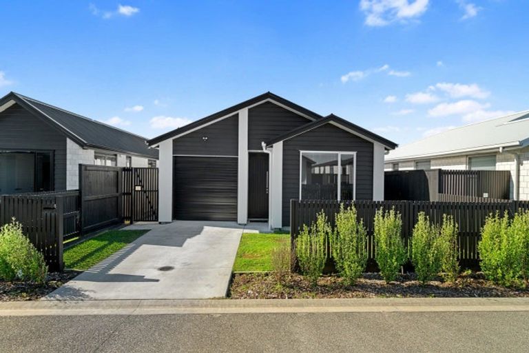 Photo of property in 5 Kotata Lane, Poike, Tauranga, 3112