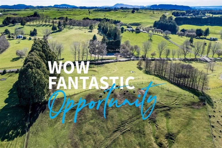 Photo of property in 545 Palmer Mill Road, Wairakei, Taupo, 3384