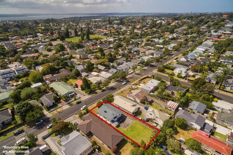Photo of property in 36 Harlston Road, Mount Albert, Auckland, 1025
