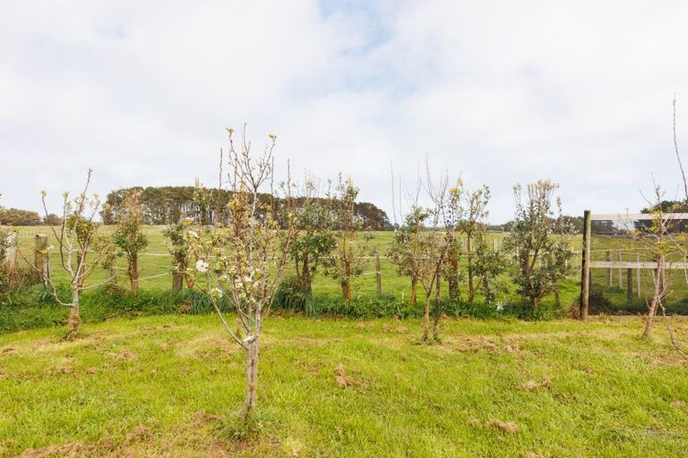 Photo of property in 46 Nuku Street, Tangimoana, 4822