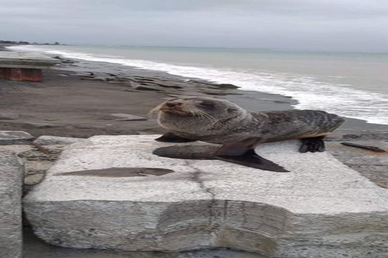 Photo of property in 23 Clifton Road, Haumoana, 4102