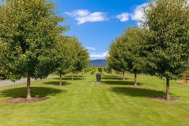 Photo of property in 196 Rapaura Road, Rapaura, Blenheim, 7273
