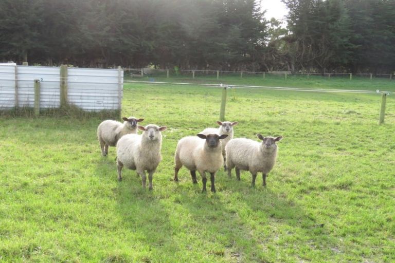 Photo of property in 23-31 Oban Street, Holmes Hill, Oamaru, 9401