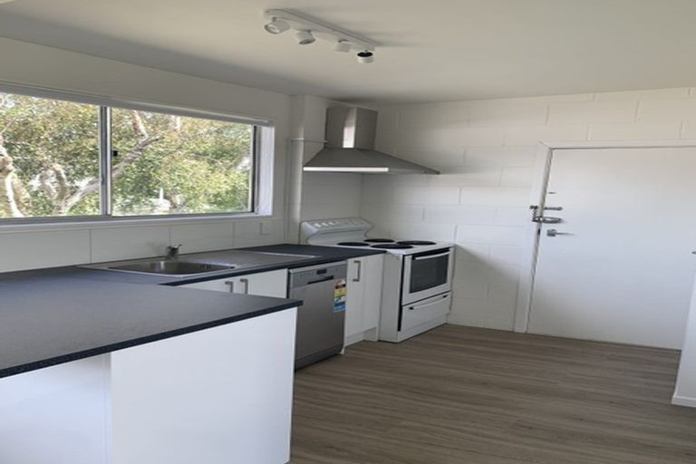 Photo of property in 1/158 Kings Crescent, Hutt Central, Lower Hutt, 5010