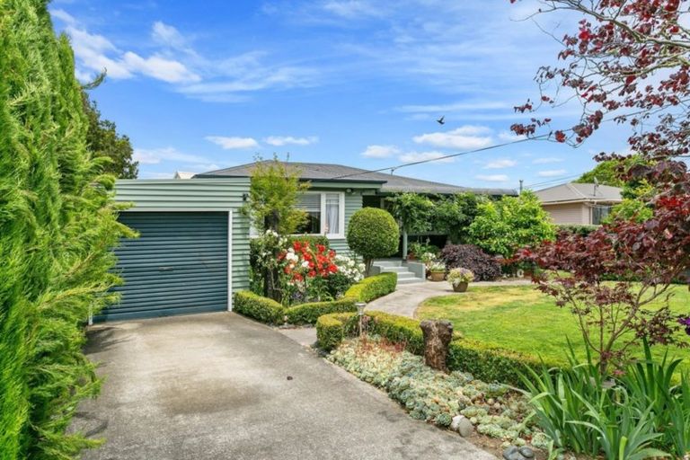 Photo of property in 11 Keats Terrace, Leamington, Cambridge, 3432