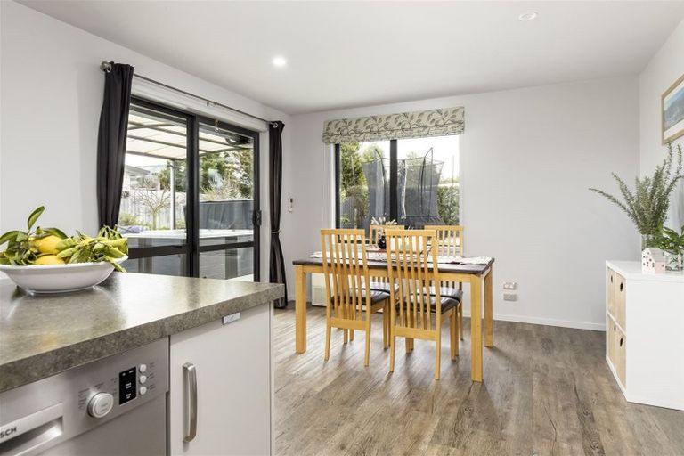 Photo of property in 10 Mcisaac Place, Renwick, 7204