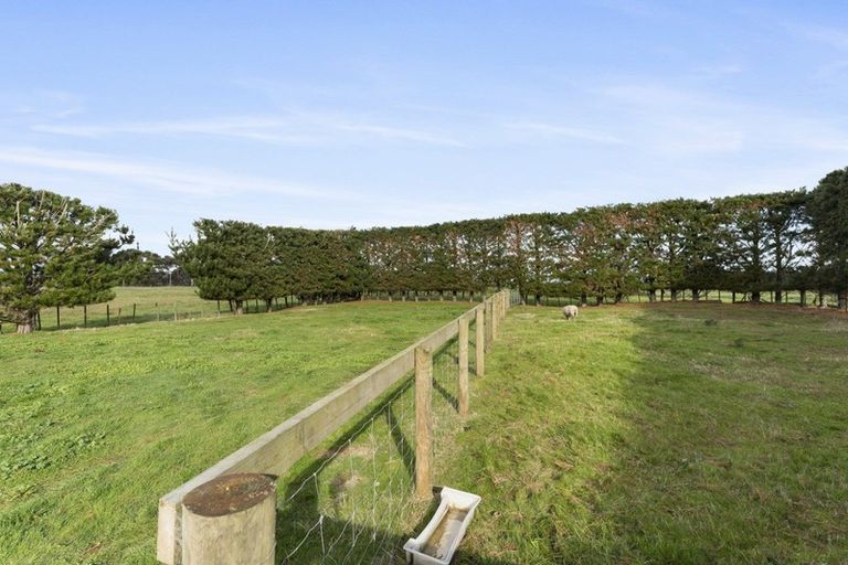 Photo of property in 91 Omanuka Road, Himatangi, Foxton, 4891