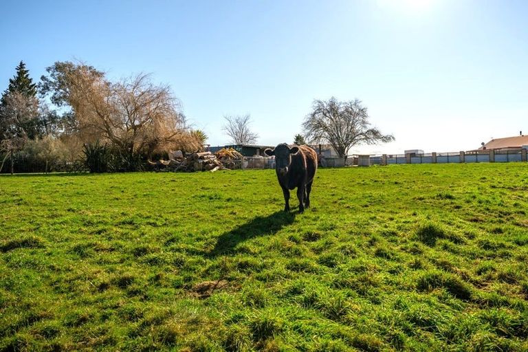 Photo of property in 26 Neal Street, Temuka, 7920