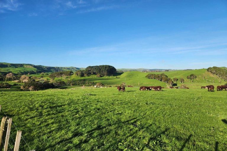 Photo of property in 899 Te Akau Road, Te Akau, Ngaruawahia, 3793