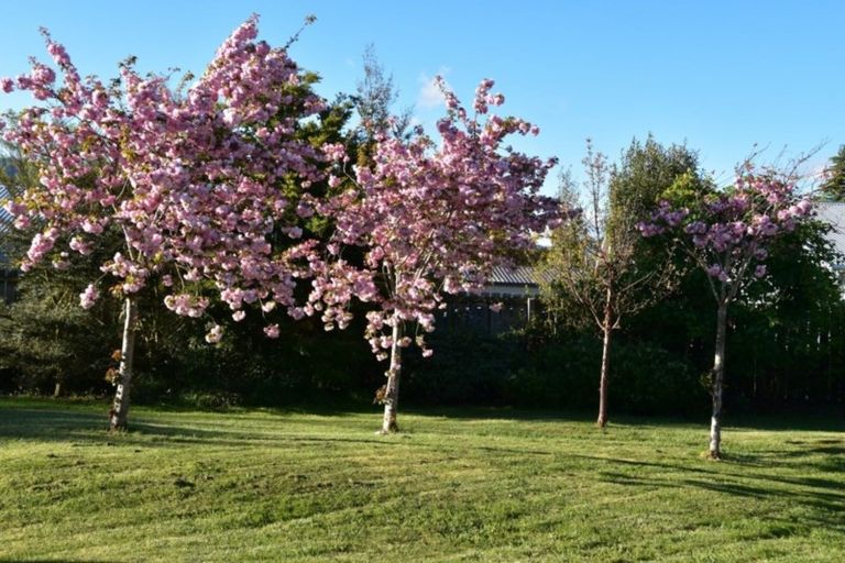 Photo of property in 23 Burnett Street, Oxford, 7430