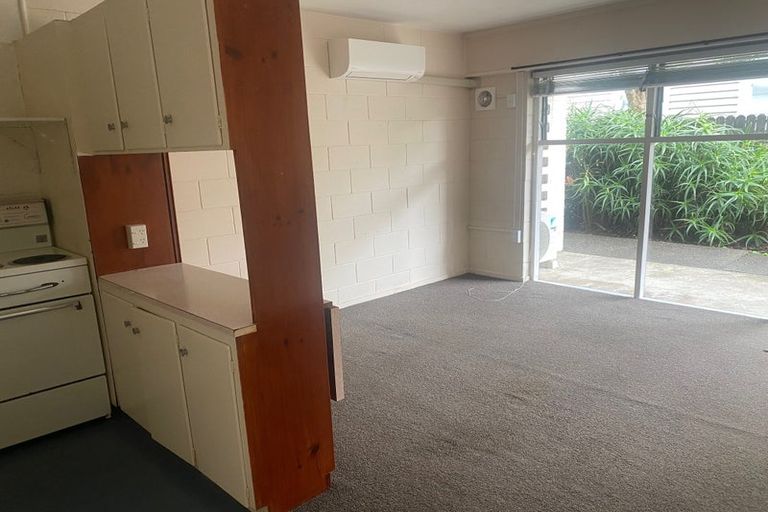 Photo of property in 9 Esplanade Road, Mount Eden, Auckland, 1024