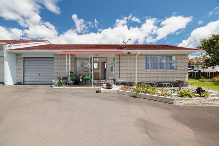 Photo of property in 16 Hayes Avenue, Gate Pa, Tauranga, 3112