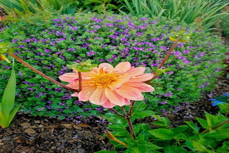 Photo of property in 33a Kenneth Gillies Way, Birchville, Upper Hutt, 5372