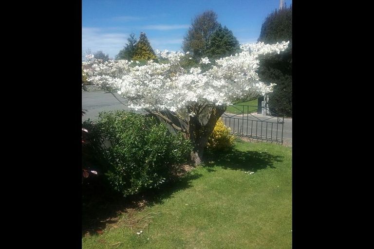 Photo of property in 23 Guise Street, Temuka, 7920