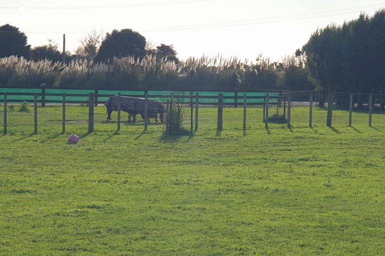 Photo of property in 46 North Manakau Road, Manakau, Levin, 5573