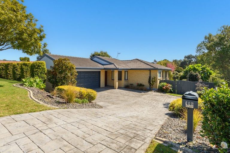 Photo of property in 115 Cheyne Road, Pyes Pa, Tauranga, 3112
