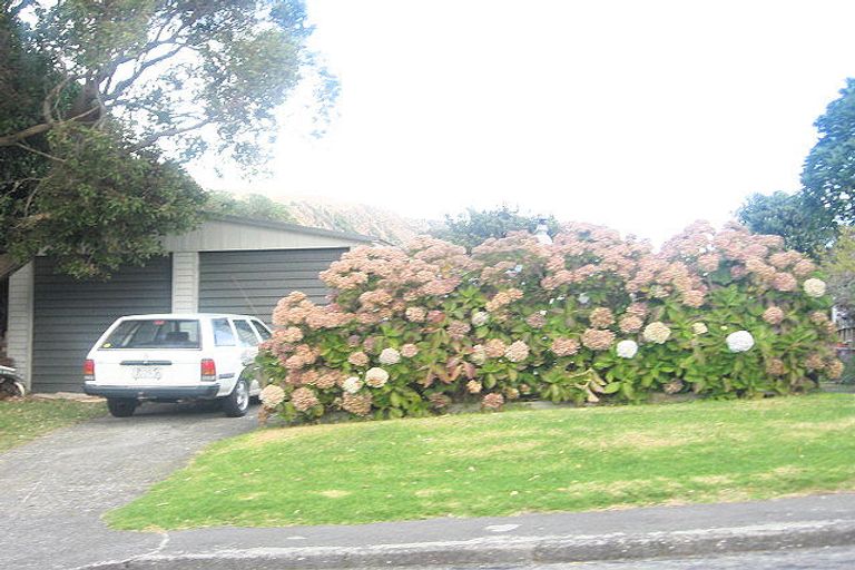 Photo of property in 18 Te Miti Street, Paekakariki, 5034