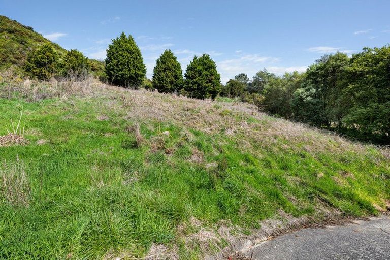 Photo of property in 16 Webster Place, Picton, 7220