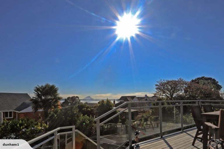 Photo of property in 240 Maungatapu Road, Maungatapu, Tauranga, 3112