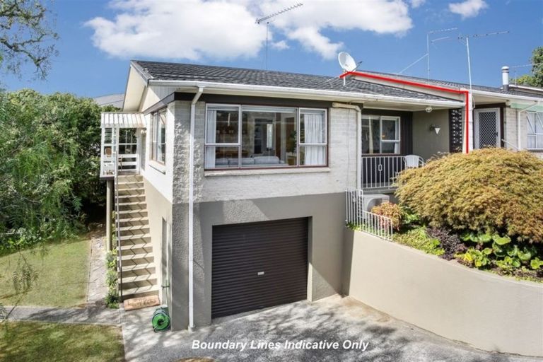 Photo of property in 3/159 Edinburgh Street, Pukekohe, 2120