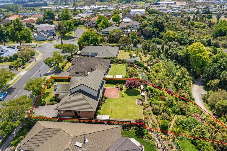 Photo of property in 124 Bethlehem Heights, Bethlehem, Tauranga, 3110