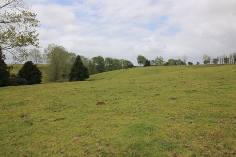 Photo of property in 229 Pakaru Road, Kawakawa, 0282